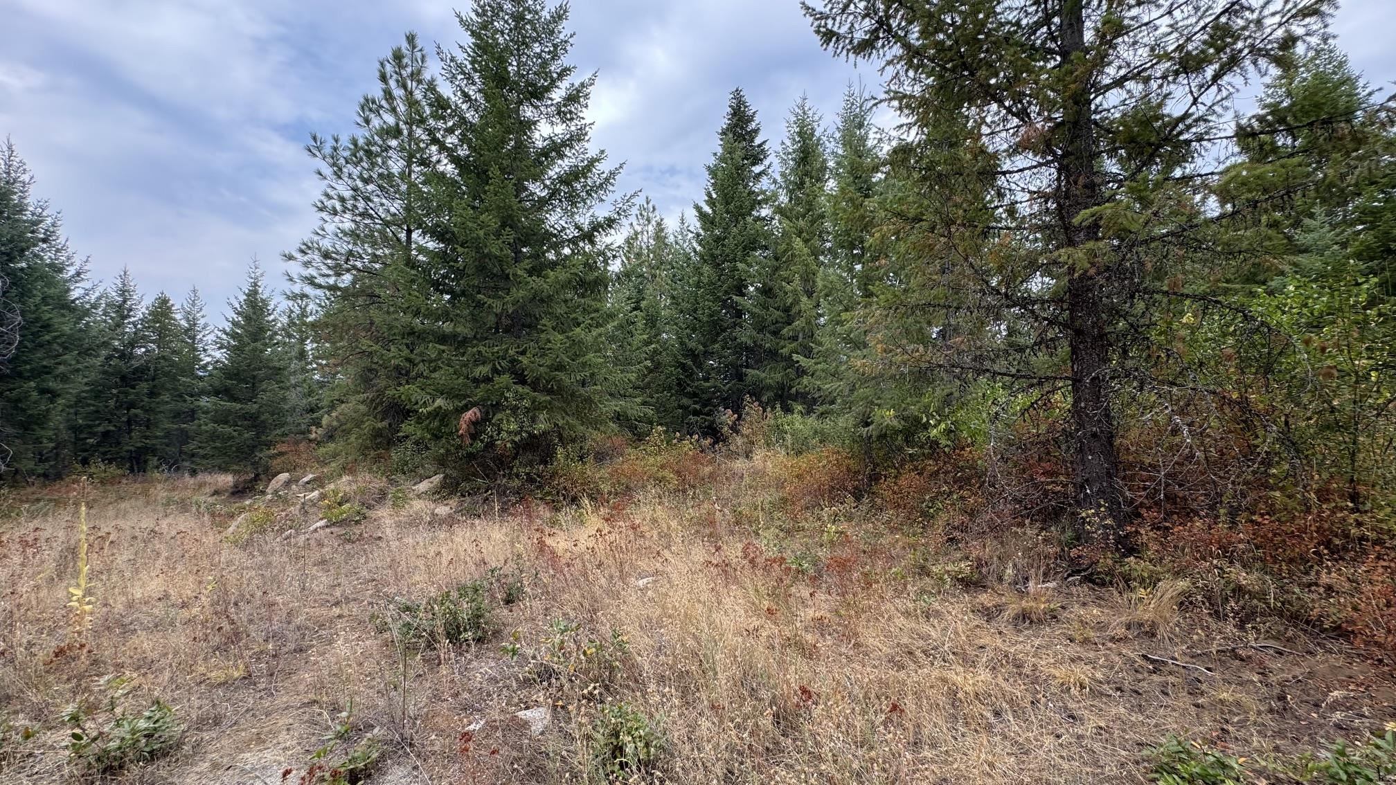 10313 Spring Valley Road Elk, WA 99009 - Photo 24 of 28 Gallery Image 24