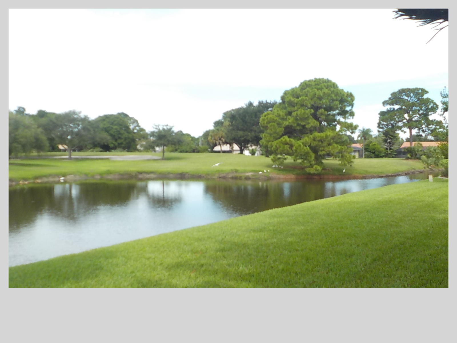 2159 Southeast Erwin Road Port St. Lucie, FL 34952 - Photo 40 of 48 a view of a lake