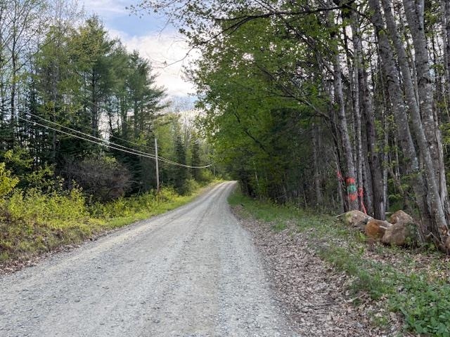 Lot 56.1 Faraway Road Dalton, NH 03598 - Photo 6 of 6