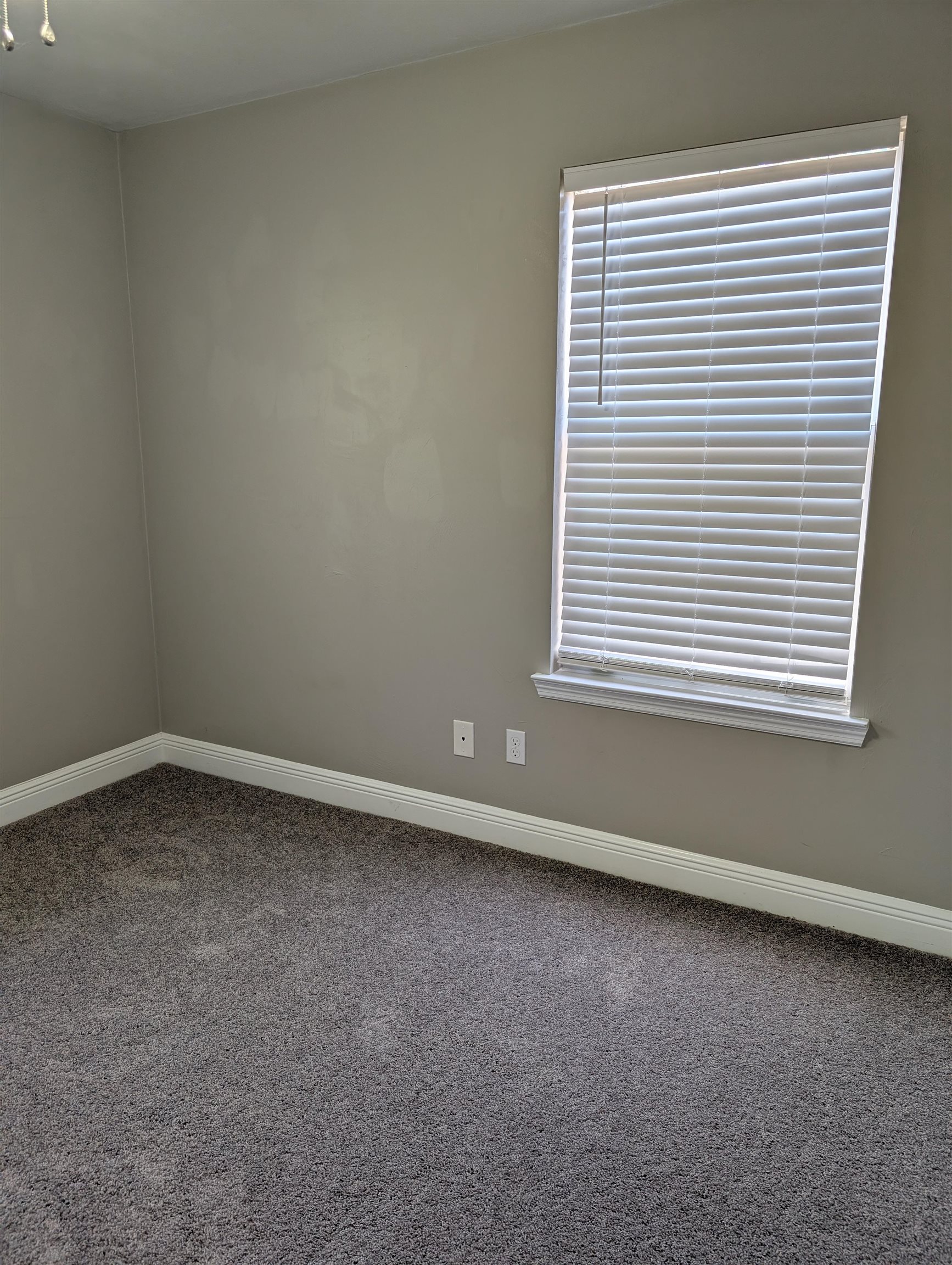 3136 Layla Street Tallahassee, FL 32303 - Photo 16 of 19