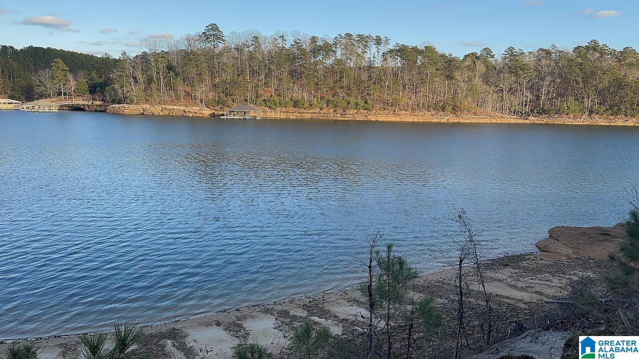 0 Edgewater Bend, Unit 29 Double Springs, AL 35553 - Photo 14 of 18