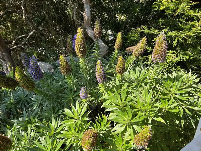 a bedroom with a bed and cabinet