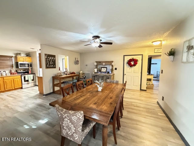 109 Ridgefield Drive Dandridge, TN 37725 - Photo 13 of 57 Kelli7