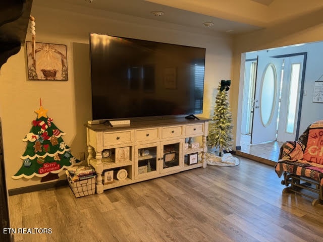 109 Ridgefield Drive Dandridge, TN 37725 - Photo 36 of 57 Kelli2