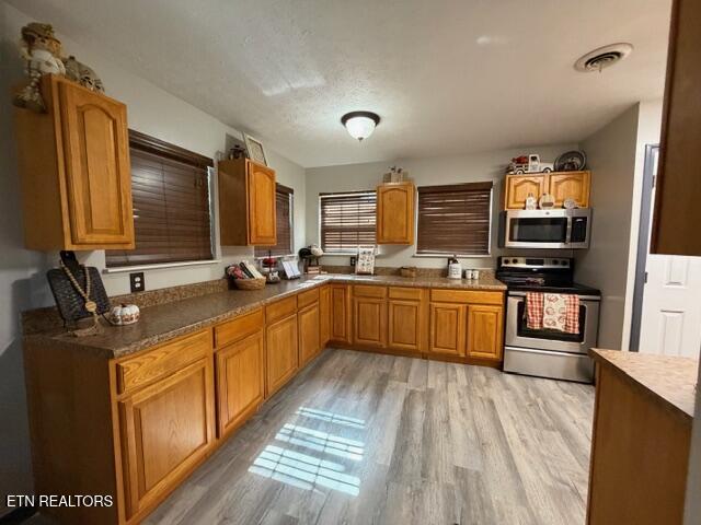 109 Ridgefield Drive Dandridge, TN 37725 - Photo 47 of 57 IMG_8589