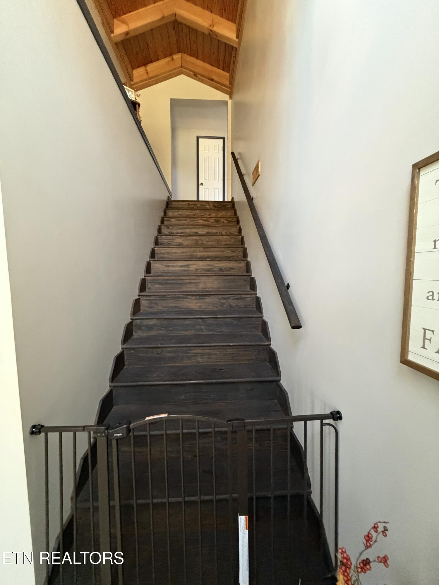 109 Ridgefield Drive Dandridge, TN 37725 - Photo 49 of 57 IMG_8607 2