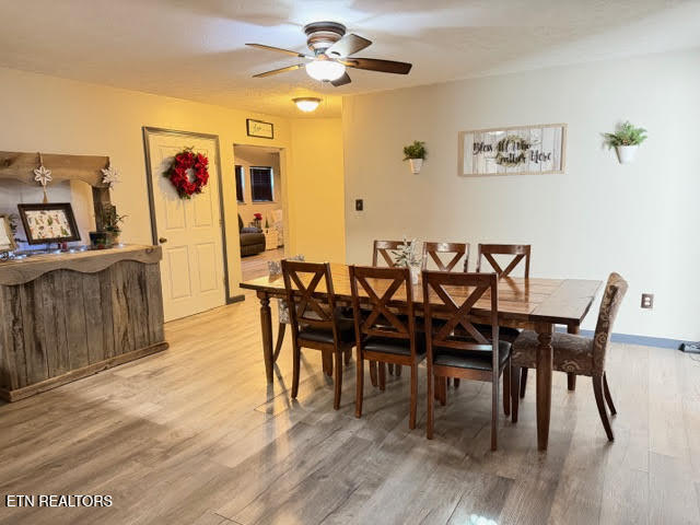 109 Ridgefield Drive Dandridge, TN 37725 - Photo 54 of 57 Kelli9