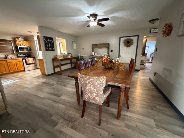 109 Ridgefield Drive Dandridge, TN 37725 - Photo 57 of 57 IMG_8585