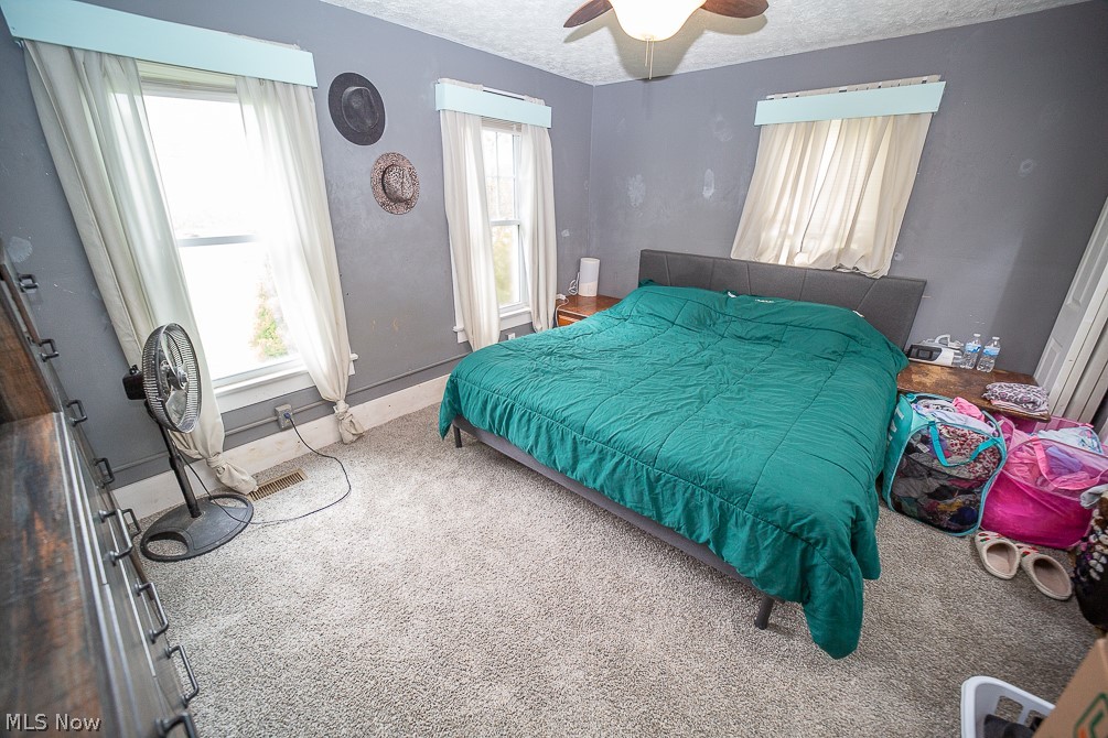 6781 West River Road Vermilion, OH 44089 - Photo 5 of 11 Bedroom featuring multiple windows, ceiling fan, carpet floors, and a textured ceiling