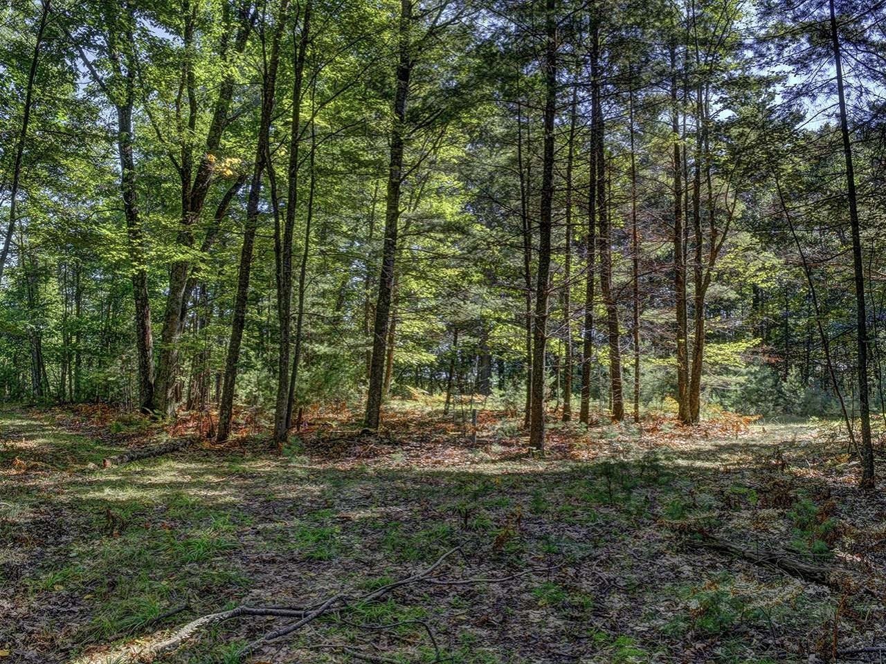 1200 Tyson Road Eagle River, WI 54521 - Photo 22 of 29 Gallery Image 22