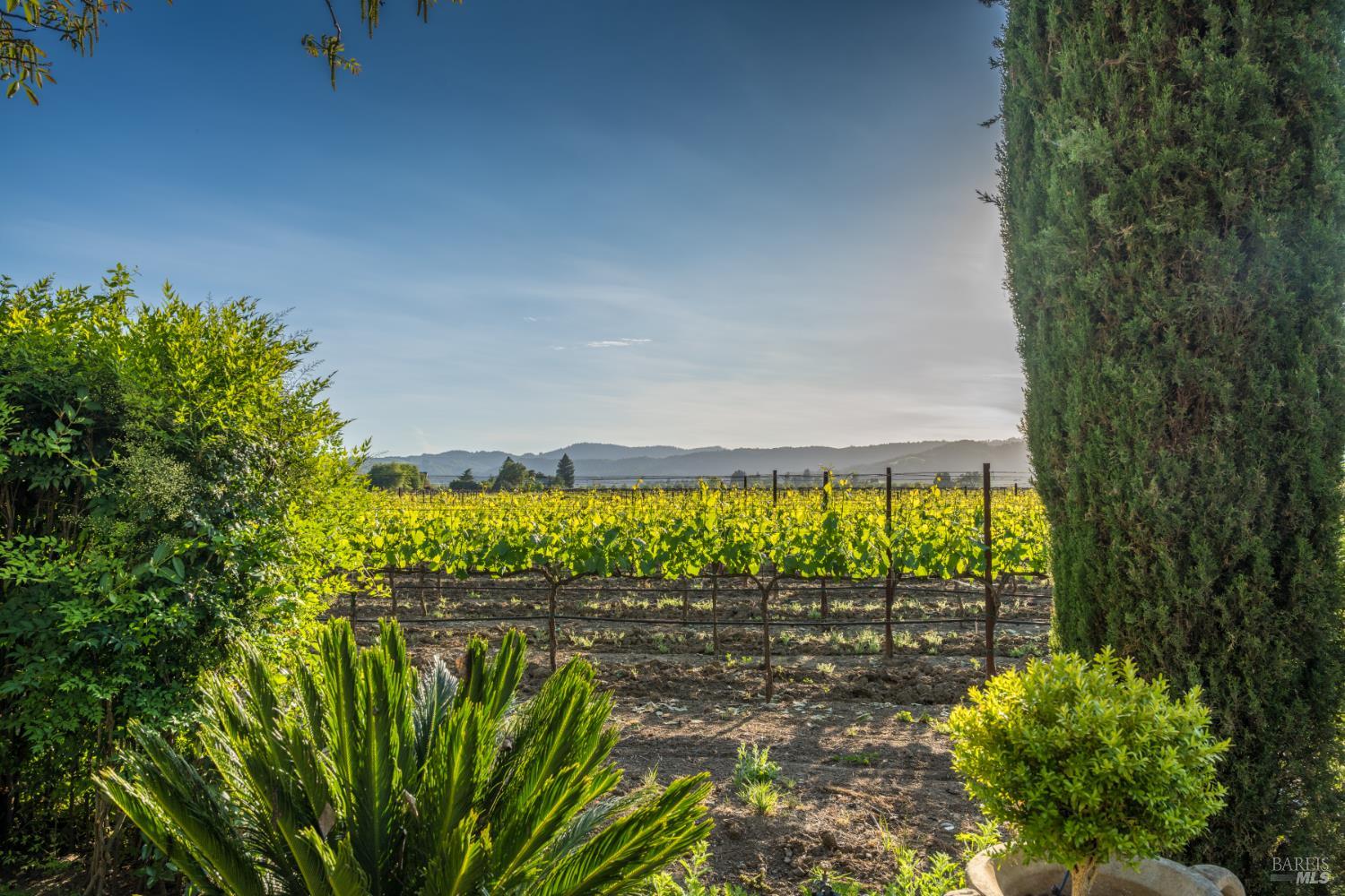 5045 Big Ranch Road Napa, CA 94558 - Photo 44 of 71