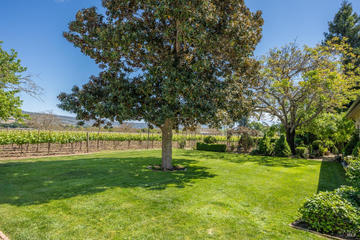 5045 Big Ranch Road Napa, CA 94558 - Photo 46 of 71 a view of yard with trees and grass