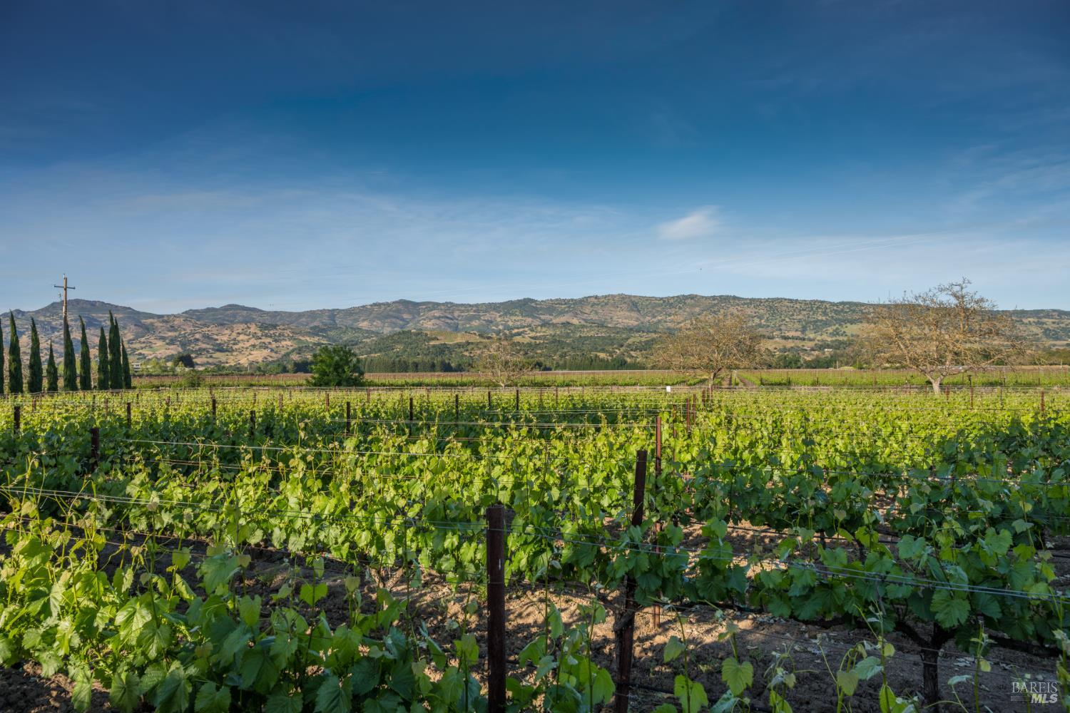 5045 Big Ranch Road Napa, CA 94558 - Photo 50 of 71