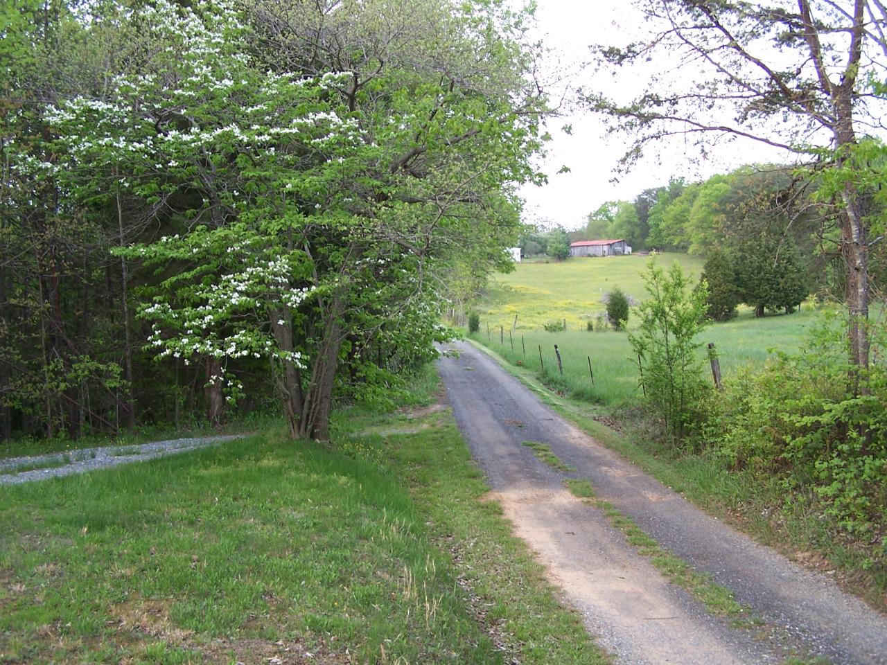 1397 Bottom Meadow Road Thaxton, VA 24174 - Photo 2 of 5 a view of a garden with plants and large trees