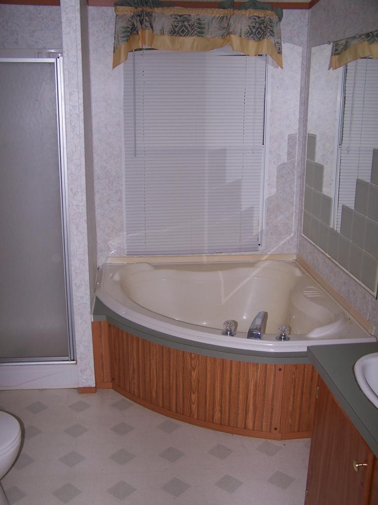 1397 Bottom Meadow Road Thaxton, VA 24174 - Photo 3 of 5 a bath tub sitting next to a shower
