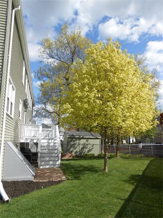 42 Santoro Road Worcester, MA 01606 - Photo 28 of 30 Gallery Image 28