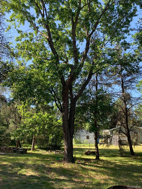 9634 Duck Road St. Helen, MI 48656 - Photo 18 of 19