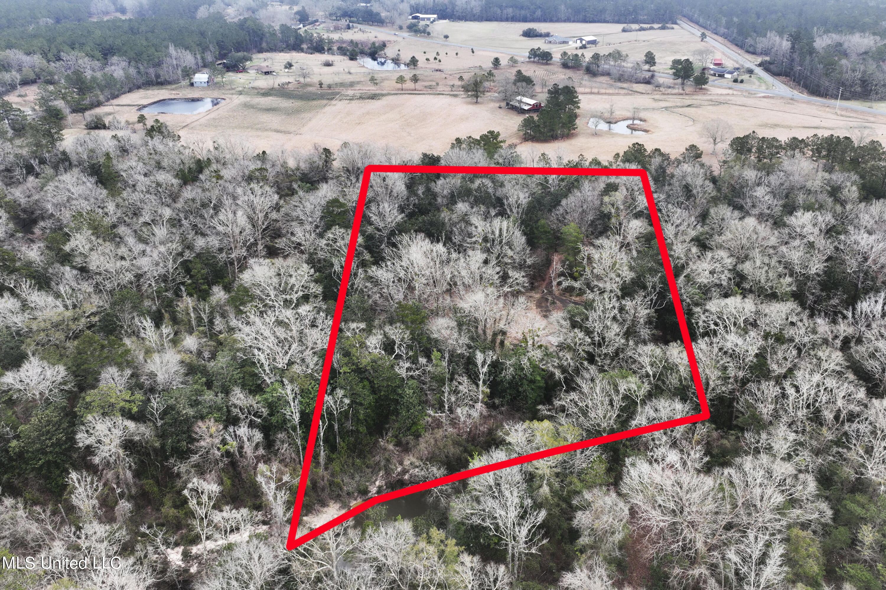 21481 Riverline Road Saucier, MS 39574 - Photo 8 of 10 007