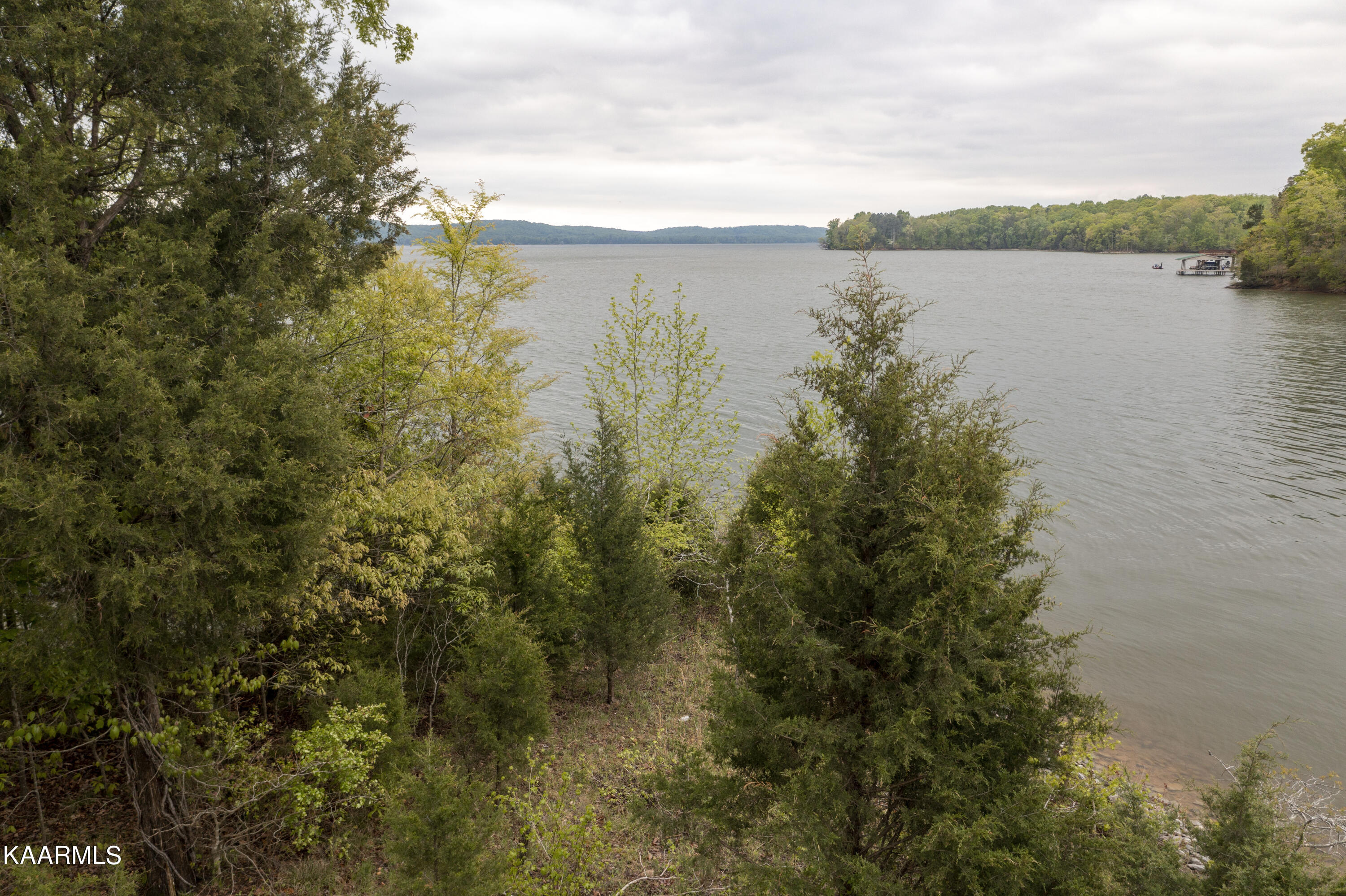 Tbd Tbd Goose Pointe Dr Spring Spring City, TN 37381 - Photo 4 of 13 DJI_0212