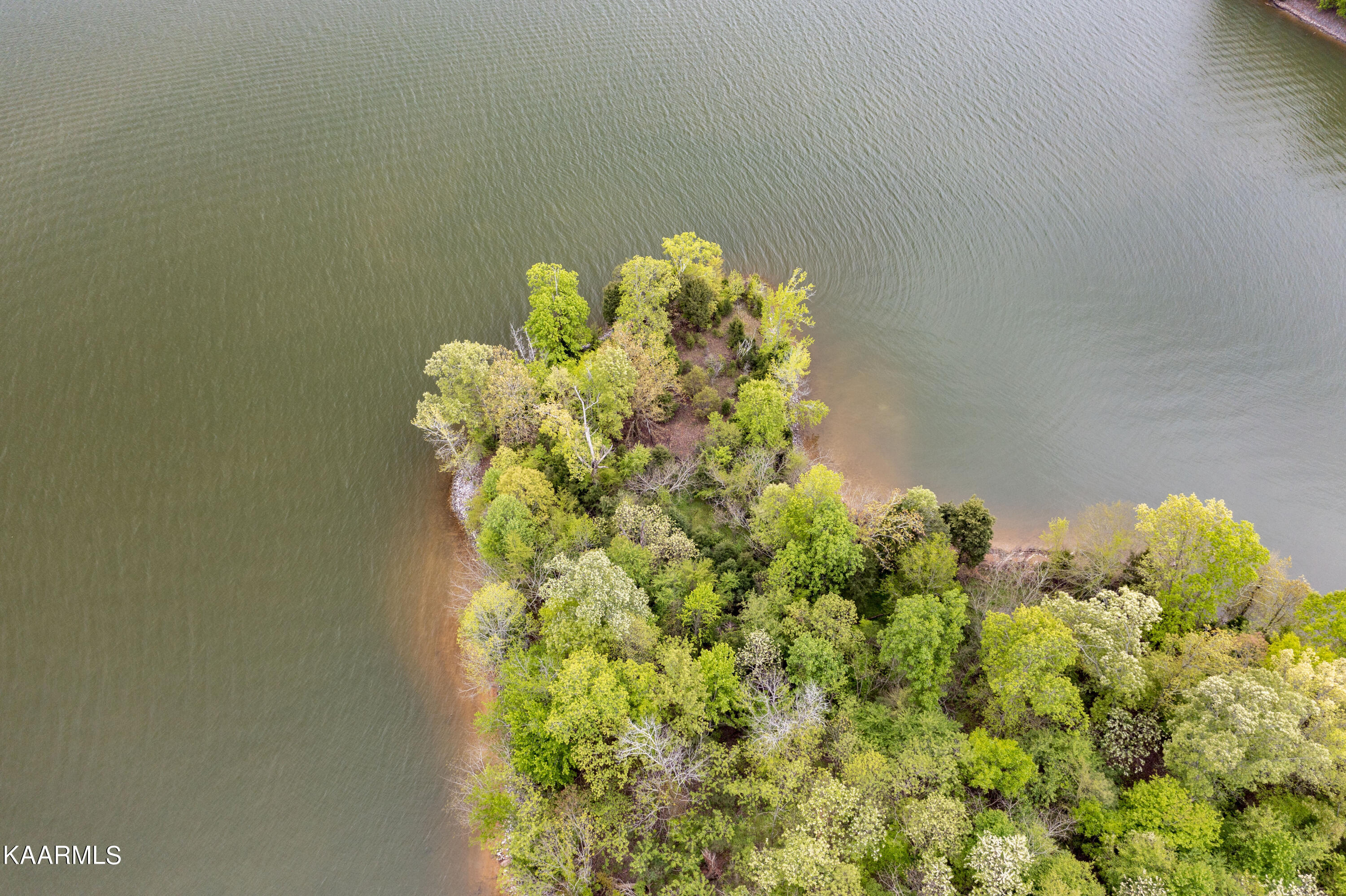 Tbd Tbd Goose Pointe Dr Spring Spring City, TN 37381 - Photo 8 of 13 DJI_0206