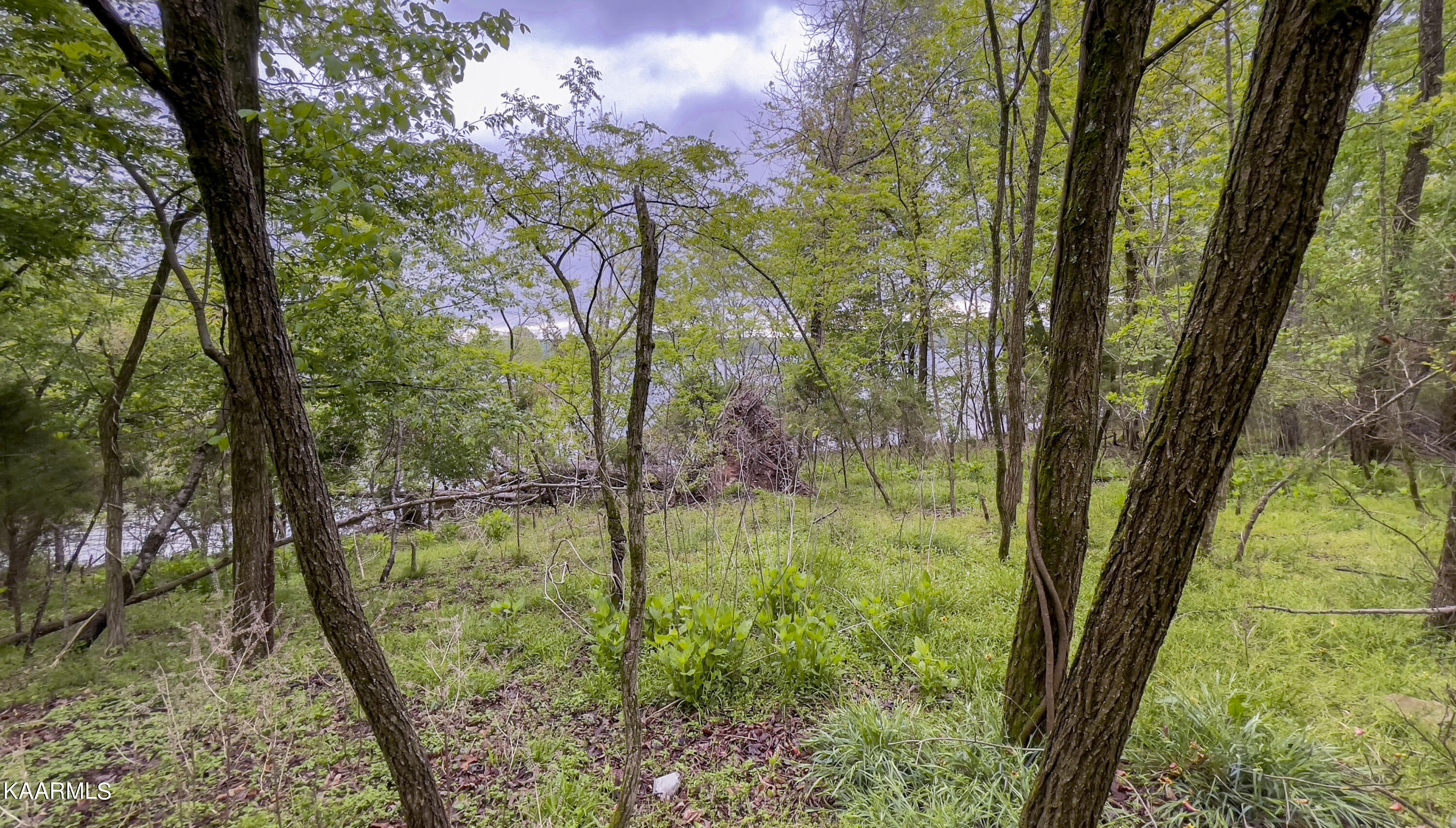 Tbd Tbd Goose Pointe Dr Spring Spring City, TN 37381 - Photo 10 of 13 IMG_5021