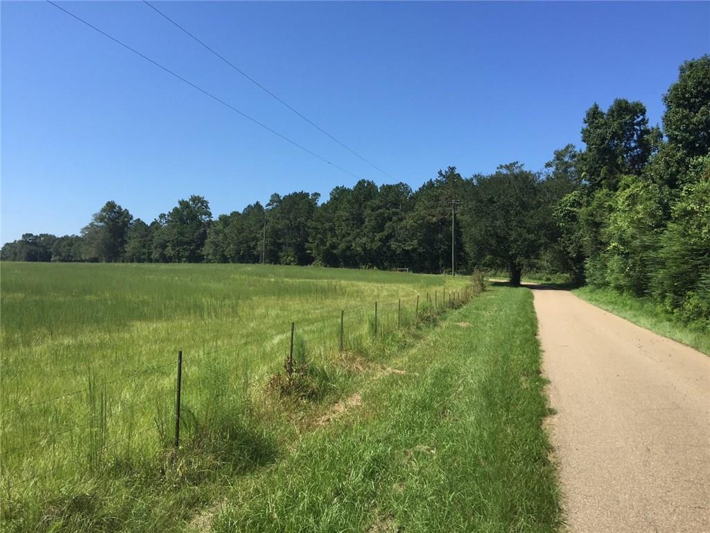 0 Sam Varnado Road Franklinton, LA 70438 - Photo 2 of 10 Gallery Image 2