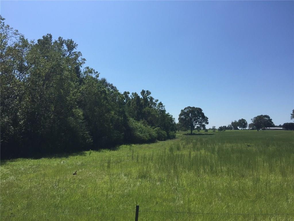 0 Sam Varnado Road Franklinton, LA 70438 - Photo 3 of 10 Gallery Image 3