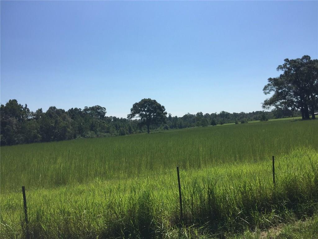 0 Sam Varnado Road Franklinton, LA 70438 - Photo 5 of 10 Gallery Image 5