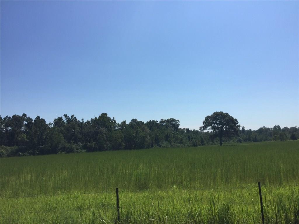 0 Sam Varnado Road Franklinton, LA 70438 - Photo 6 of 10 Gallery Image 6