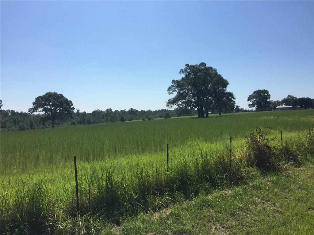 0 Sam Varnado Road Franklinton, LA 70438 - Photo 7 of 10 Gallery Image 7