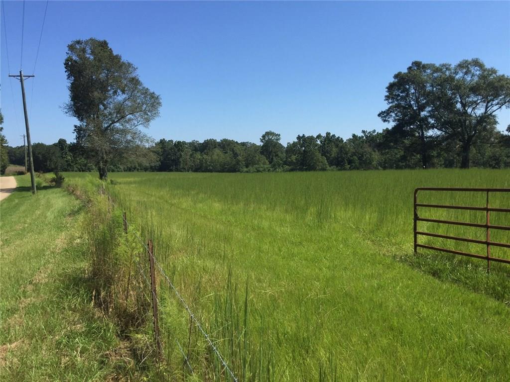 0 Sam Varnado Road Franklinton, LA 70438 - Photo 8 of 10 Gallery Image 8