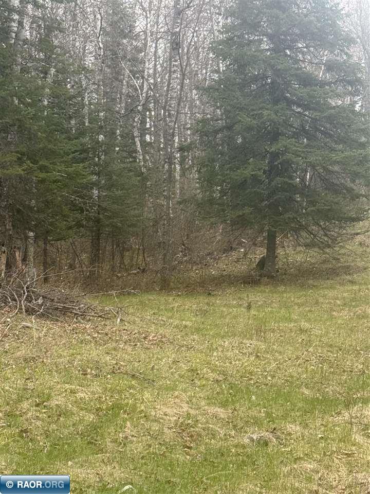 Tbd North Birch Ridge Road Britt, MN 55710 - Photo 19 of 23