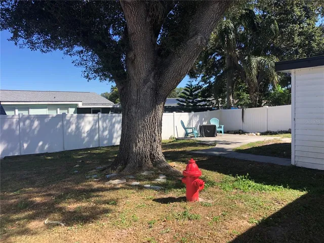 a view of a yard with large tree
