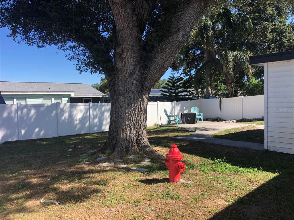 6425 Reno Avenue New Port Richey, FL 34653 - Photo 4 of 17 a view of a yard with large tree