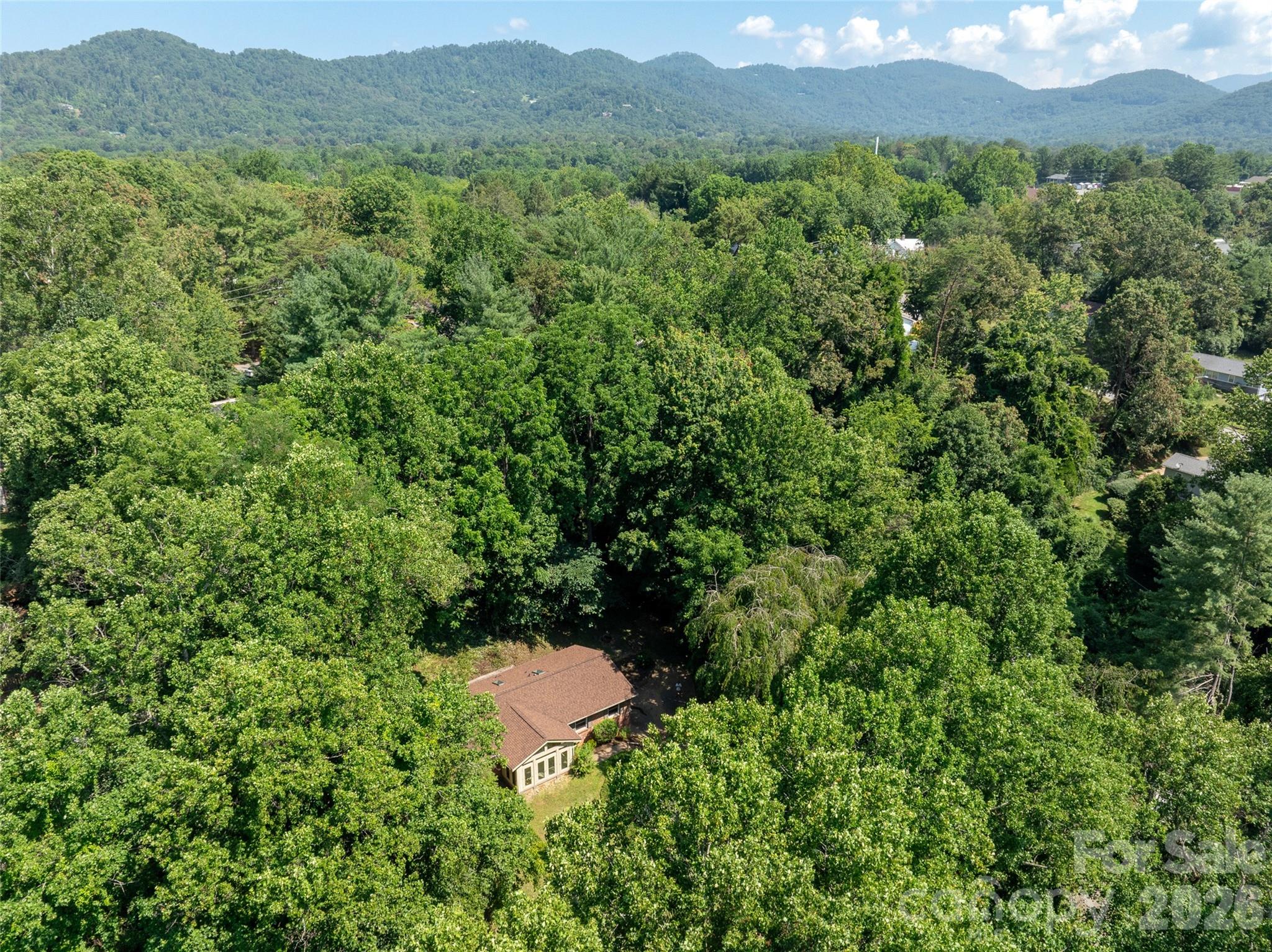 41 Pinehurst Road Asheville, NC 28805 - Photo 41 of 42