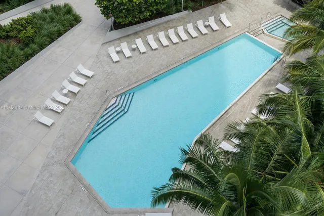 a close up of a palm plants