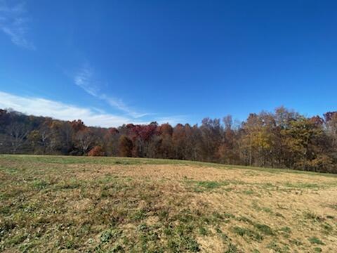 22007 Upper Lick Road, Unit TRACT #6 Carlisle, KY 40311 - Photo 5 of 5 05