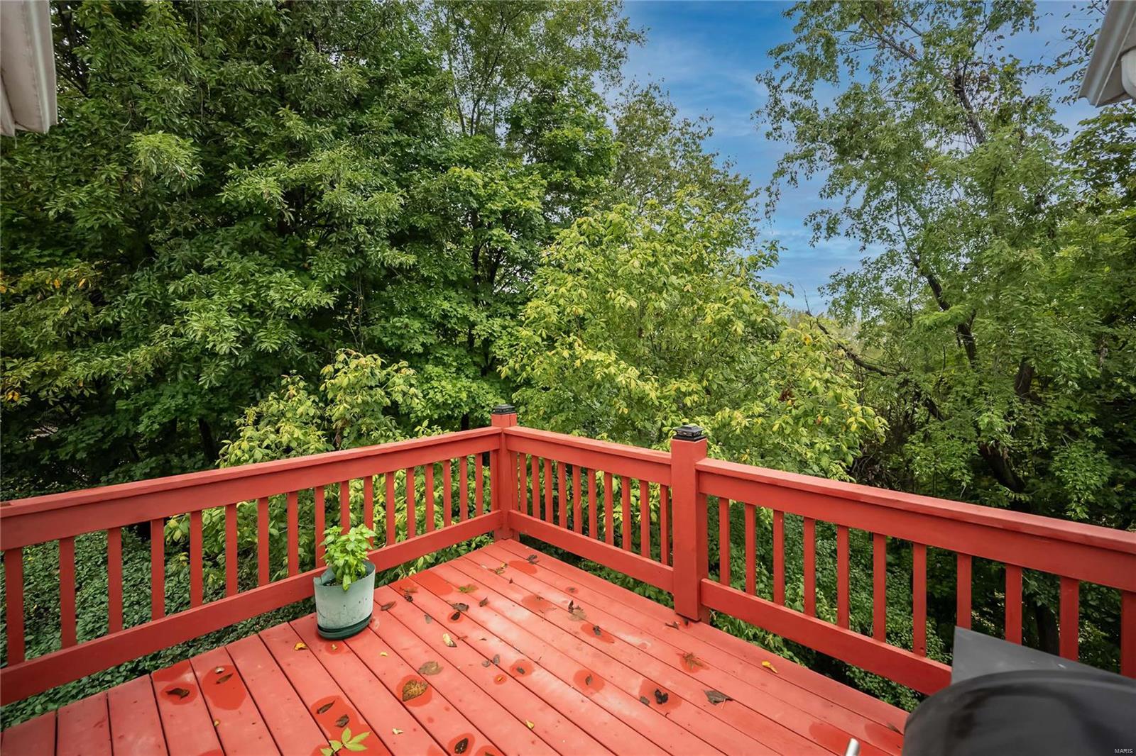 1229 Bluffview Ridge Drive Chesterfield, MO 63005 - Photo 18 of 46