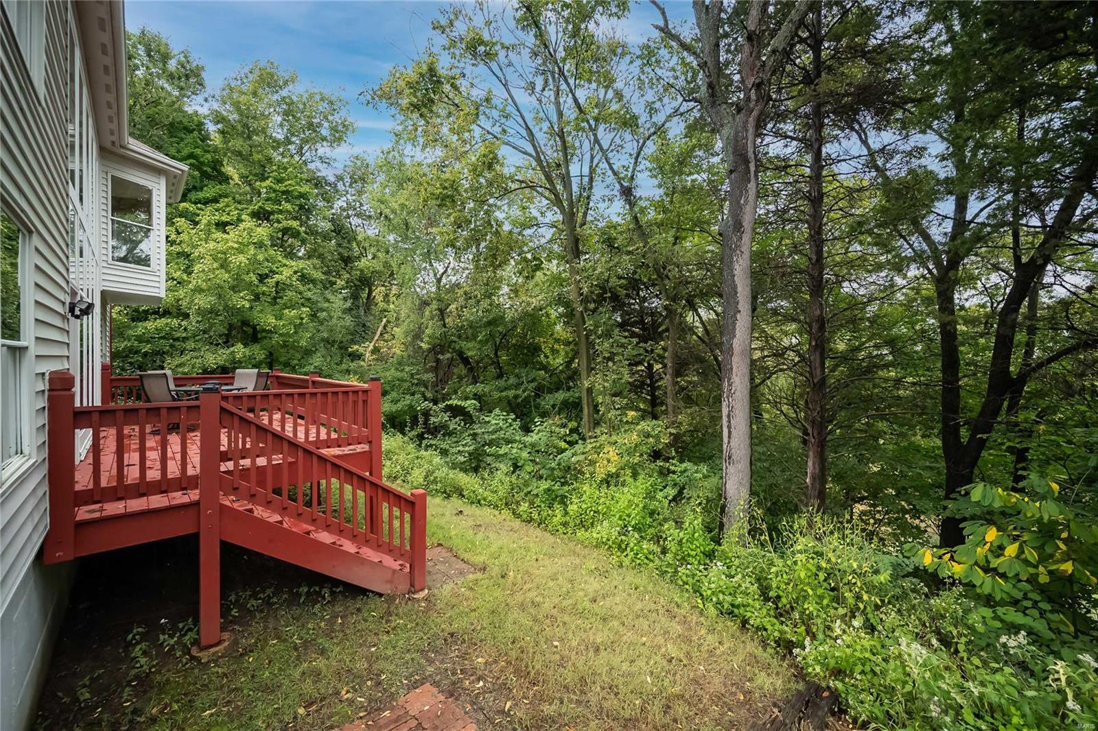 1229 Bluffview Ridge Drive Chesterfield, MO 63005 - Photo 45 of 46