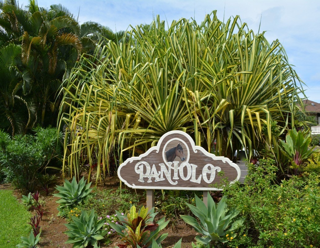 4480 Ka Haku Road, Unit 208 Princeville, HI 96722 - Photo 16 of 28 a close up of a plant in a garden