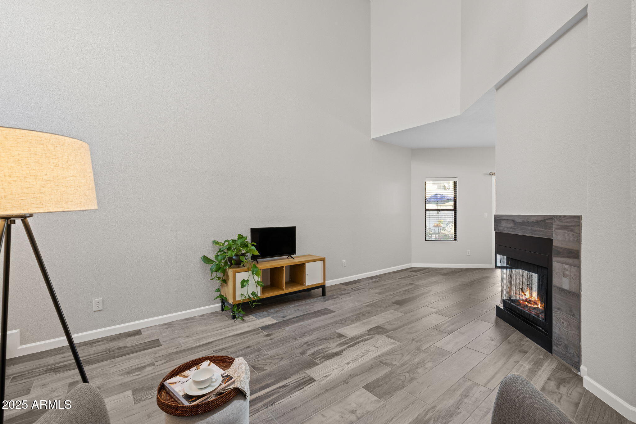 1060 East Louis Way Tempe, AZ 85284 - Photo 4 of 38 Plenty of wall space for a big TV