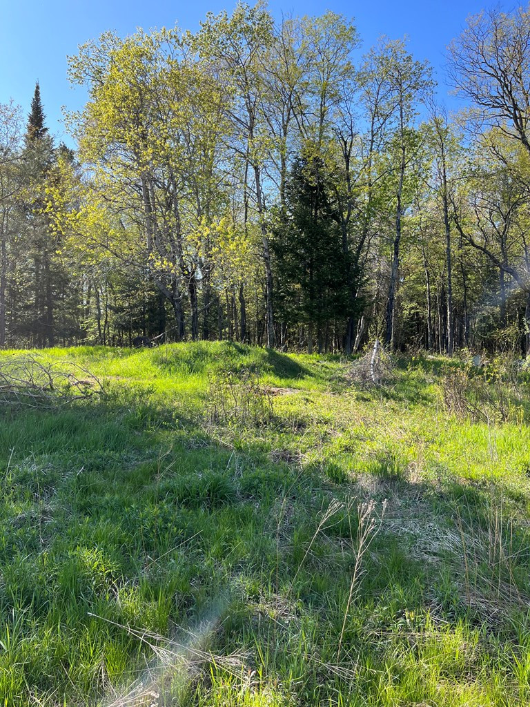 12 Tooley Pond Road Cranberry Lake, NY 12927 - Photo 4 of 5 Gallery Image 4