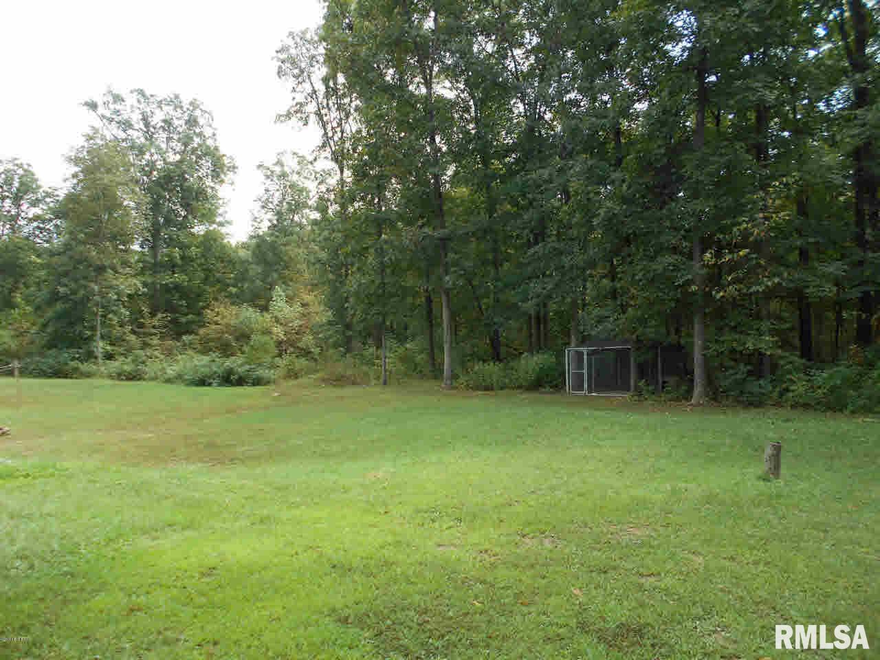 1108 North Co Road Rinard, IL 62878 - Photo 6 of 31