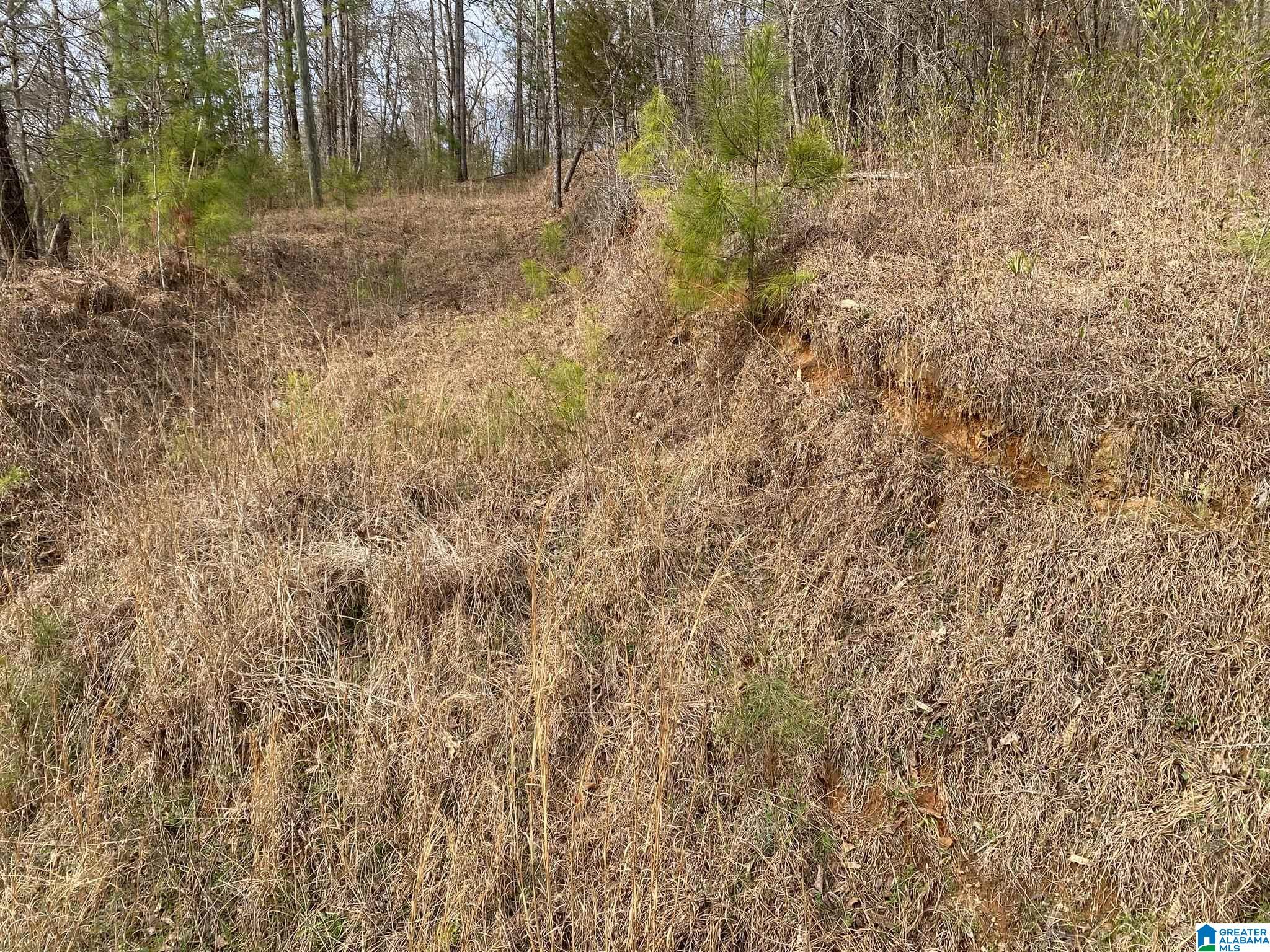 Mohawk Cliff Road, Unit 5 Ohatchee, AL 36271 - Photo 9 of 14