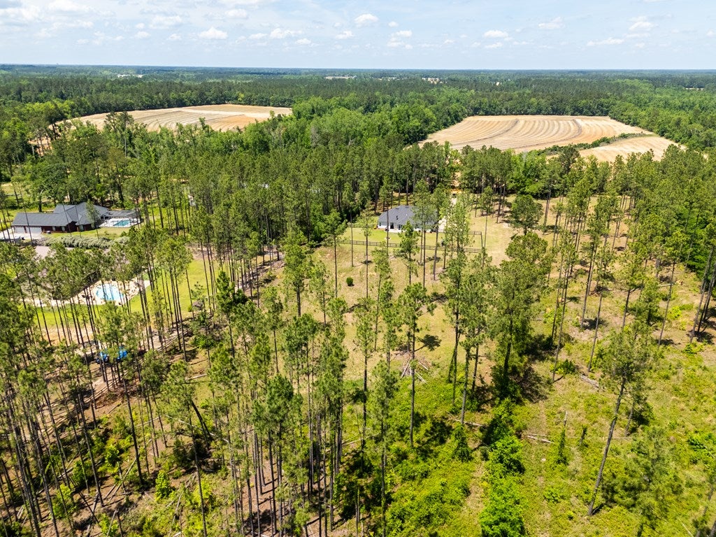 5555 Boyette Road Hahira, GA 31632 - Photo 52 of 56 Gallery Image 52