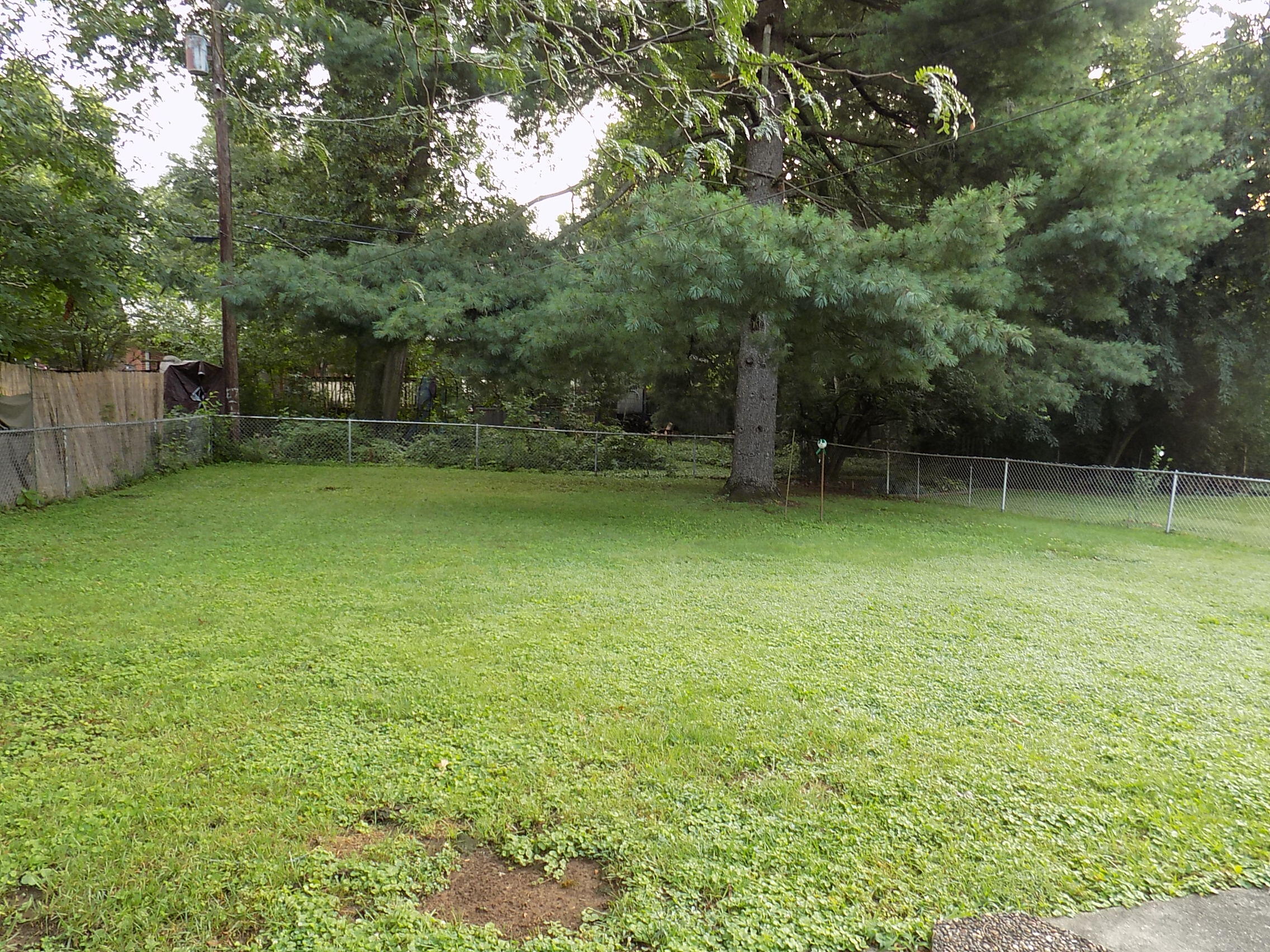 1811 Raleigh Road Lexington, KY 40505 - Photo 30 of 30 DSCN1536