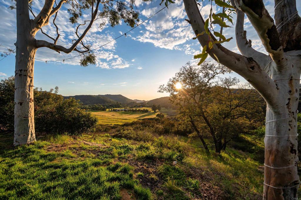 26086-89 Bear Valley Heights Road Valley Center, CA 92082 - Photo 48 of 65