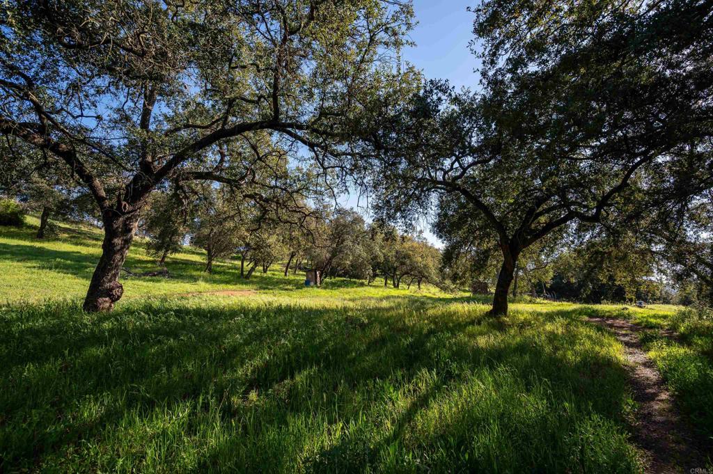 26086-89 Bear Valley Heights Road Valley Center, CA 92082 - Photo 7 of 65