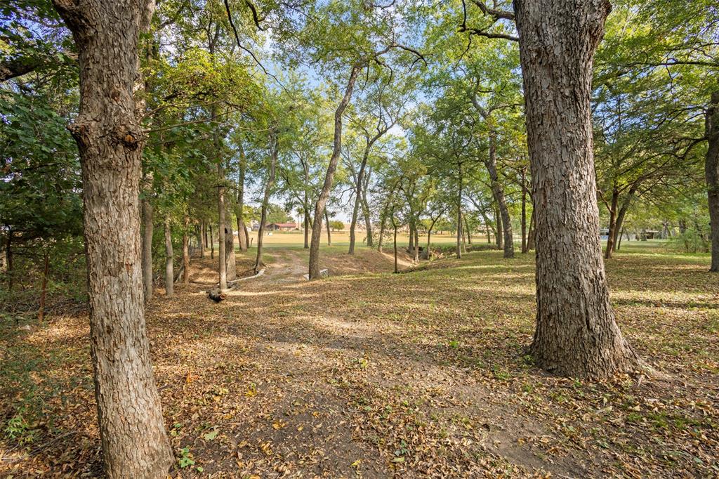 1009 West Interstate 20 Grand Prairie, TX 75052 - Photo 24 of 40 a view of a yard with a tree