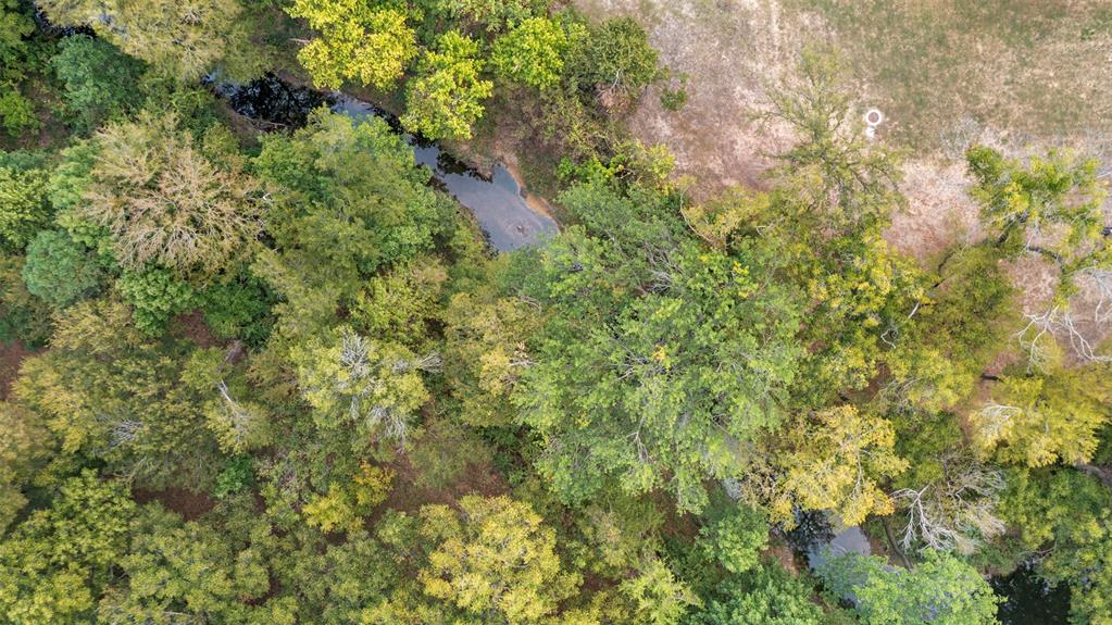1009 West Interstate 20 Grand Prairie, TX 75052 - Photo 39 of 40 a view of a house with a lush green forest